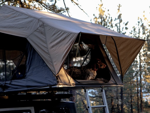 Taktelt til bil. Telt på biltaket. Overlanding med taktelt. Få et enkelt sted å campe på jakt.