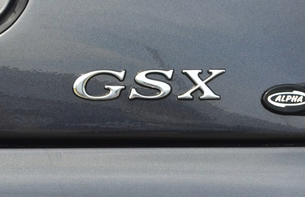 Alpha logo GSX, sider